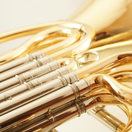 Noten für Horn