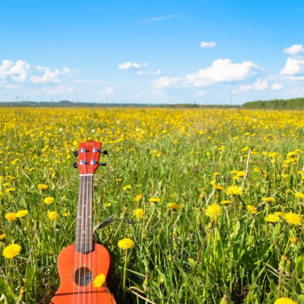Noten für Ukulele
